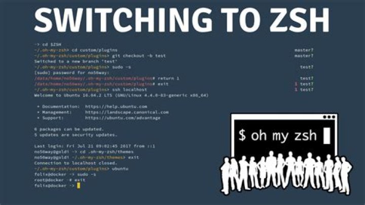 What's at Risk with Switching to ZSH?