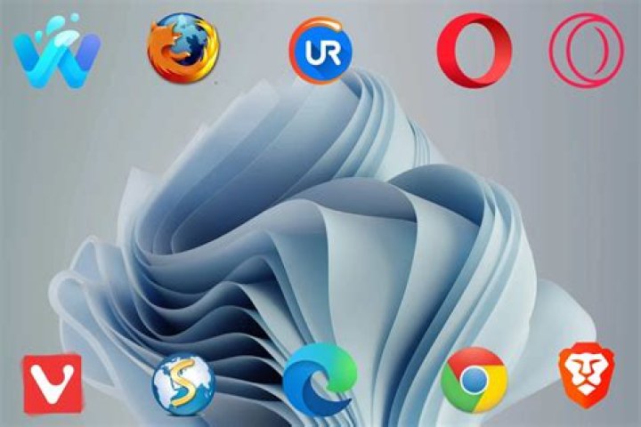 What's that web browser diagnostic site?