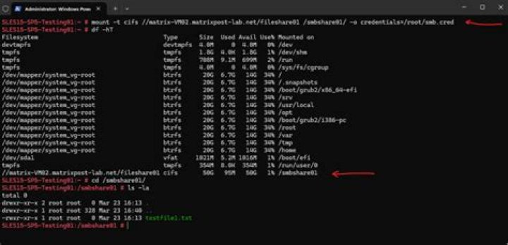 What's the difference between "file_mode,dir_mode" and "gid" when mounting a CIFS share?