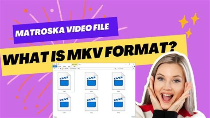 What does Matroska have which WebM doesn't, that made the differentiation necessary?