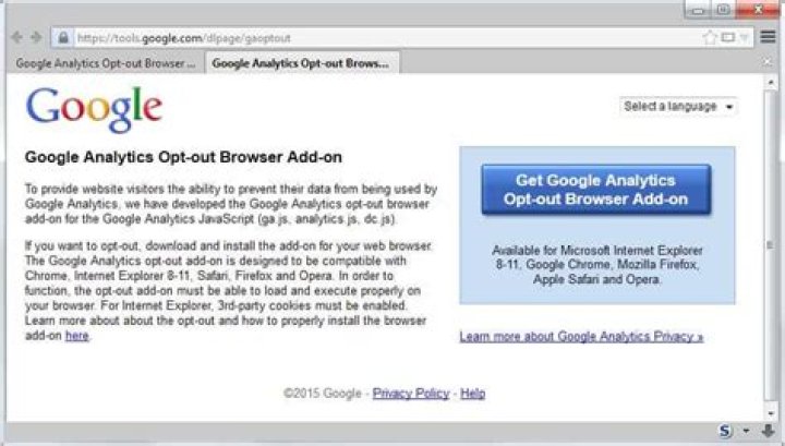 What does the Google Analytics Opt-out Browser Add-on do?