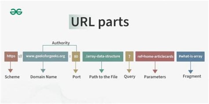 What is the best way to monitor and record the URLs called by device to establish or monitor browsing history?