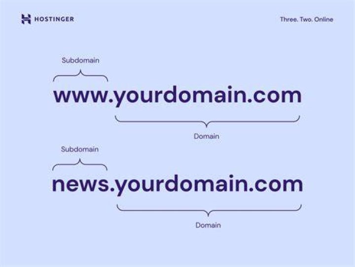 What is the purpose of the WWW subdomain?