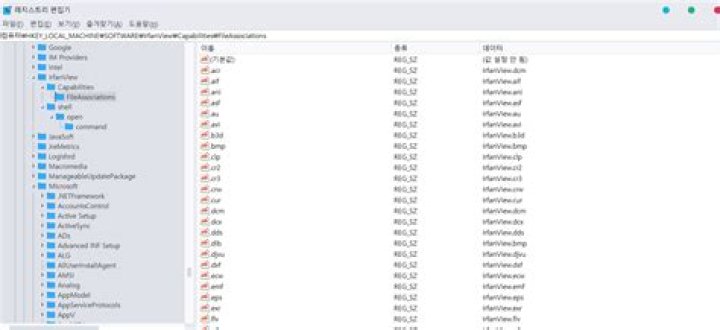 Where in the registry does Windows store with which program to open certain file types?