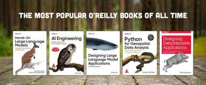 Which e-reader for O'Reilly books?