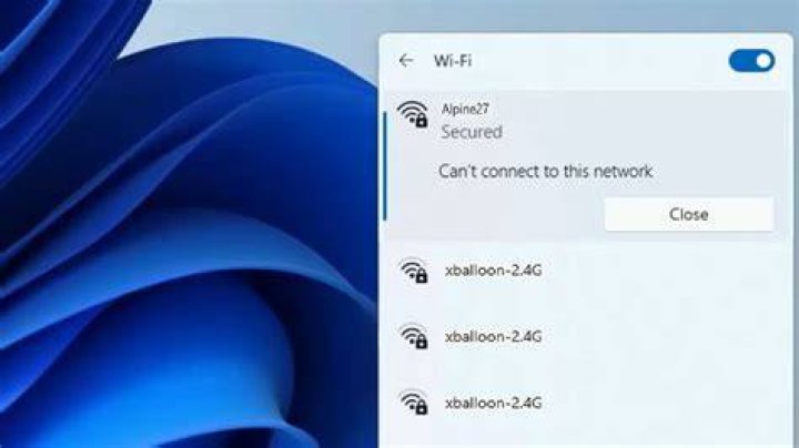 Why can't my computer connect to this one valid website?