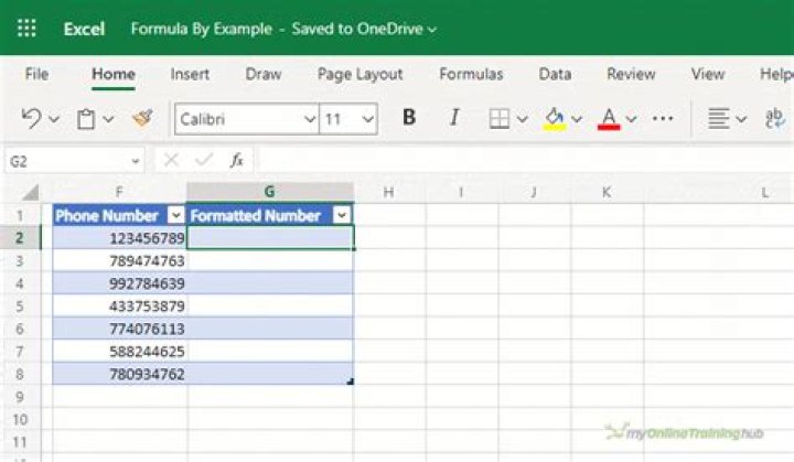 Why does Excel 2010 automatically reformat numbers?