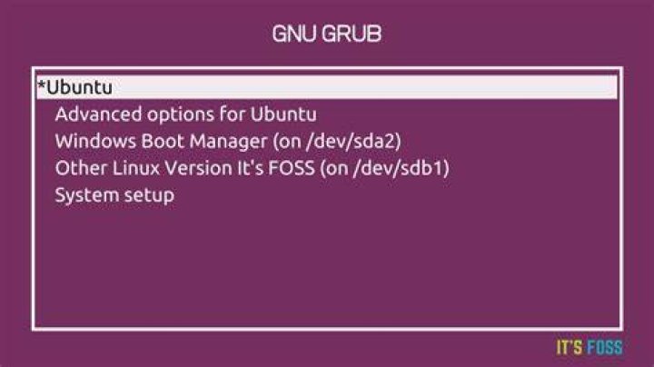 Windows 10 booting to GNU GRUB before actually booting Windows