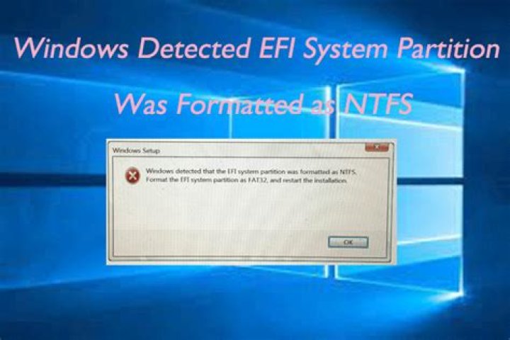 Windows detected that the EFI system partition was formatted as NTFS