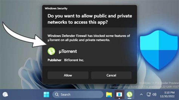 Windows Firewall dialog pop-up