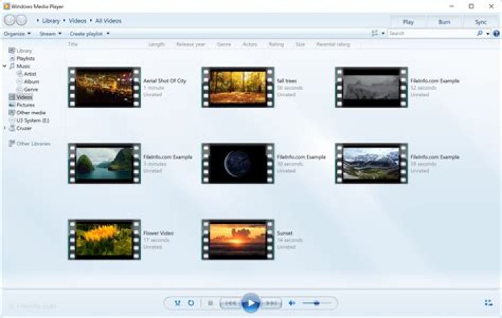 Windows Media Player "File" menu