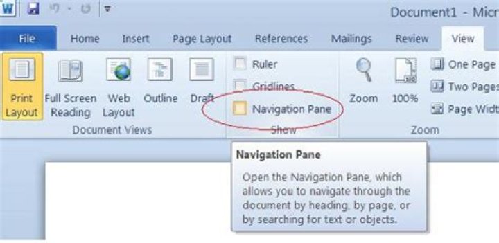 Word 2010 - Navigation Pane checkbox