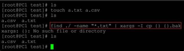 xargs -I replace-str option difference