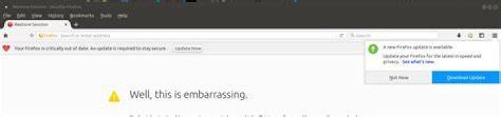 You suck FF updates....